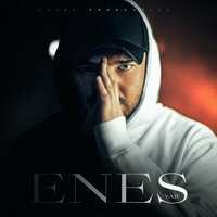 Zehir - ENES