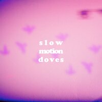 Slow Motion Doves - The Shadowboxers
