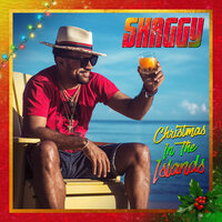 Warm & Easy - Shaggy
