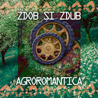 Hora cosmică - Zdob si Zdub
