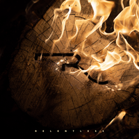 Survivor - CEE, Bonfire