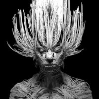 Human Engine - Kate Boy