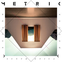 Lost Kitten - Metric