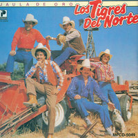 Albacar China - Los Tigres Del Norte