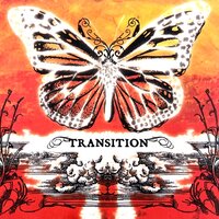 Set Sail - Transition