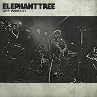 Wither - Elephant Tree