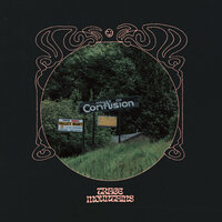 SEEN IT COMING - Trace Mountains