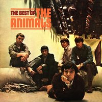 It's My Life - Animals