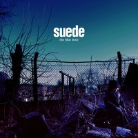 Roadkill - Suede