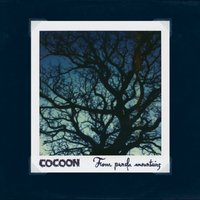 Hummingbird - Cocoon
