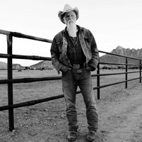Signed D.C. - Seasick Steve