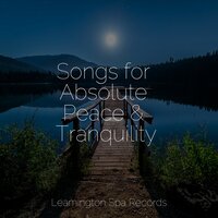 Relaxation - Binaural Beats Brainwave Entrainment, Kundalini: Yoga, Echoes of Nature