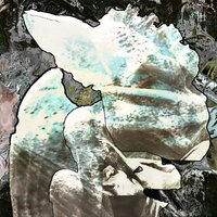 guerilla warfare - Stoneman