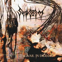 Morbid Consumption - Sepsism
