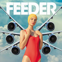 Magpie - Feeder