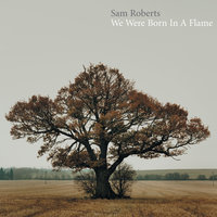 Rarefied - Sam Roberts