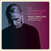 Gravity - Paul Weller