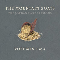 Snow Owl - The Mountain Goats