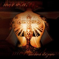 Hermetyk - Mor W.A., Wigor Mor W.A., Łyskacz