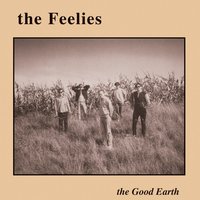 Slow Down - The Feelies