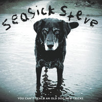 Party - Seasick Steve