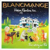 Cruel - Blancmange, Komputer