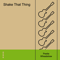 Drinking Man Blues - Peetie Wheatstraw