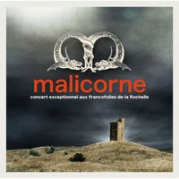 Marions les roses - Malicorne