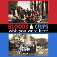 Bloods & Crips