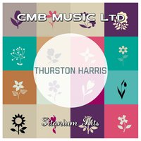 Fine Fine Frame - Thurston Harris