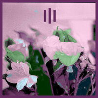 Colours. - Triple One