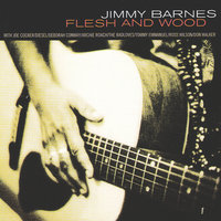 Love Me Tender - Jimmy Barnes