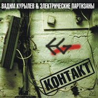Может быть - Вадим Курылёв, Электропартизаны