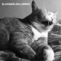 Slagsmålsklubben
