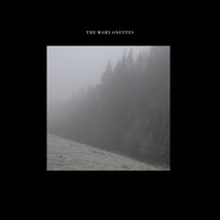 Void - The Mary Onettes