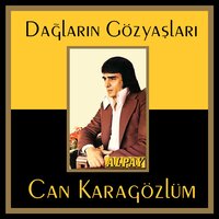 Hem Okudum Hem Yazdım - Alpay