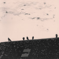 Step into the Grey - Stuart A. Staples