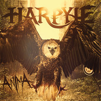 Totem - Harpyie
