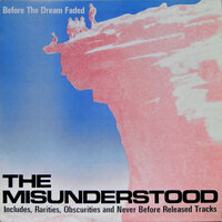 Who's Been Talking - The Misunderstood