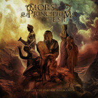 Cleansing Rain - Mors Principium Est