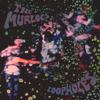Paranoid Joy - The Murlocs