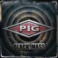 Last Christmas - Pig
