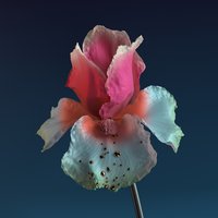 Never Be Like You - Flume, Kai, Martin Solveig