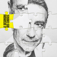 Les salamandres - Alain Chamfort