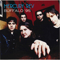 Racing The Tide - Mercury Rev