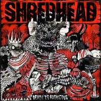 Death Is Righteous - Shredhead