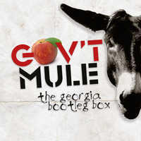 She's 19 Years Old - Gov't Mule