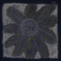 River's Bed - Florist