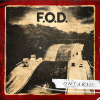 Racket Rating - F.O.D.