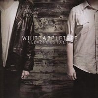 Snowflakes - White Apple Tree